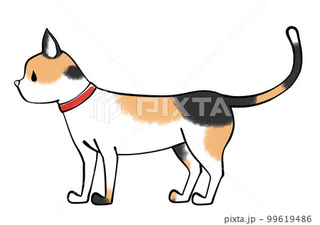 猫のイラスト 99619486