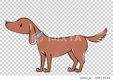 Illustration of a dog Illustration of a dog 99619549
