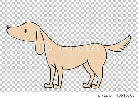 Illustration of a dog Illustration of a dog 99619563