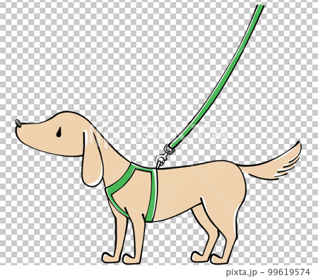 ハーネス 犬のイラストのイラスト素材 [99619574] - PIXTA