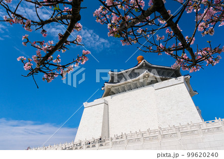 台湾 台北市 桜が咲く中正紀念堂 99620240