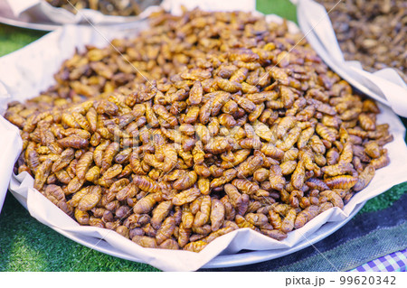Fried insects mealworms or silk worms for snack, Thai food at market Fried insects mealworms or silk worms for snack, Thai food at market 99620342