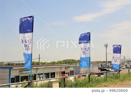 舞洲のネモフィラ祭り 99620600