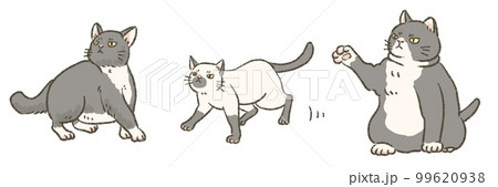 三匹のネコのイラスト 三匹のネコのイラスト 99620938