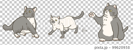 三隻貓的插圖 三隻貓的插圖 99620938