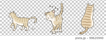 Illustration of three brown tiger cats 99620940