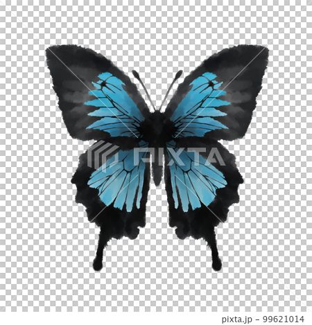流血的藍蝴蝶,蝴蝶手繪插圖 流血的藍蝴蝶,蝴蝶手繪插圖 99621014