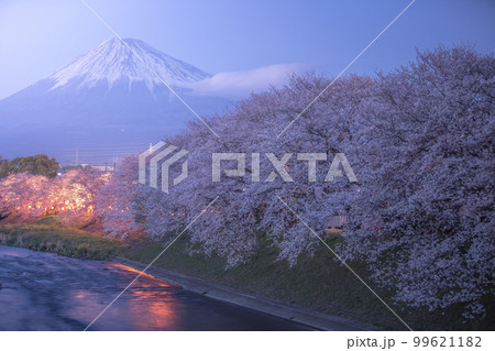 静岡県 龍巌淵 富士山 桜 99621182