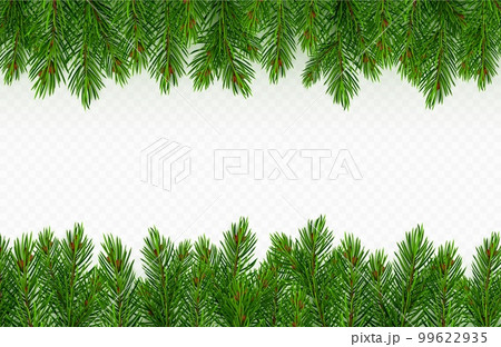 Pine tree branch border. green fir twigs frame 99622935