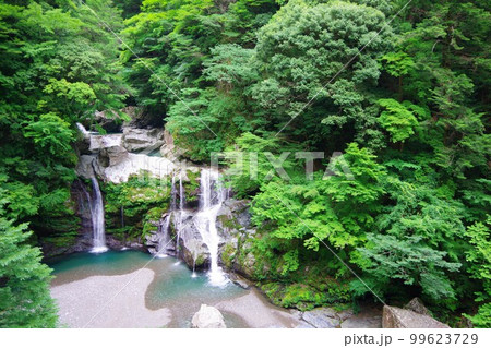 徳島県那賀町　大轟の滝 99623729
