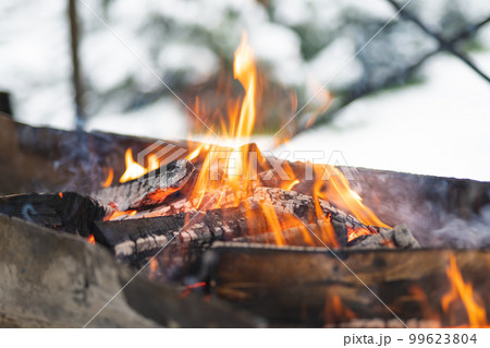 beautiful fire colorful bonfire burns in the grill for cooking food 99623804