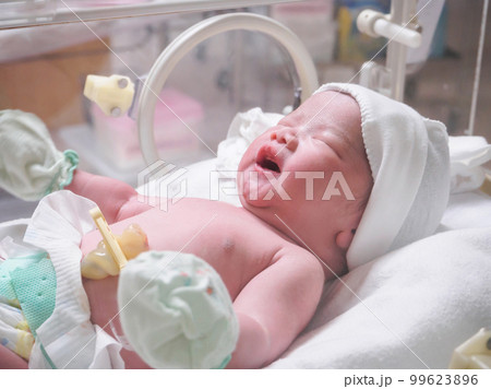 new born baby infant sleep in the incubator at hospital new born baby infant sleep in the incubator at hospital 99623896