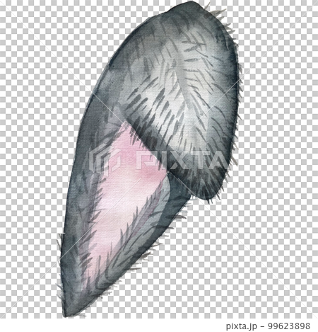 Watercolor easter head bunny ears clipart 99623898