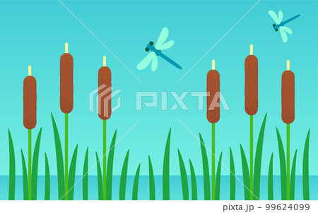 Cartoon swamp cattails background illustration 99624099