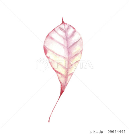 watercolor autumn wreath food coffee plaid clipart 99624445