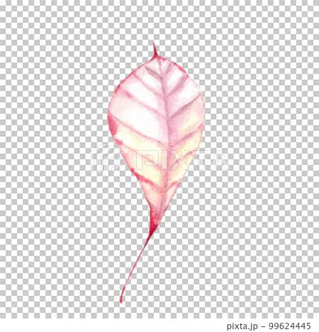 watercolor autumn wreath food coffee plaid clipart 99624445