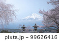 静岡県 興徳寺 富士山と桜と菜の花 99626416