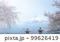 静岡県 興徳寺 富士山と桜と菜の花 99626419