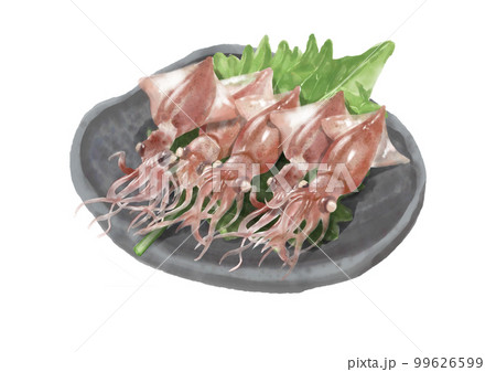 水彩のホタルイカ01_3 99626599