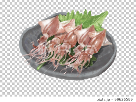 水彩のホタルイカ01_3 99626599