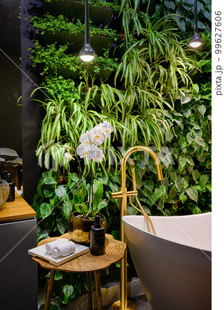 Luxury bathroom interior in spa with vertical garden, bath in modern beauty salon. Luxury bathroom interior in spa with vertical garden, bath in modern beauty salon. 99627606