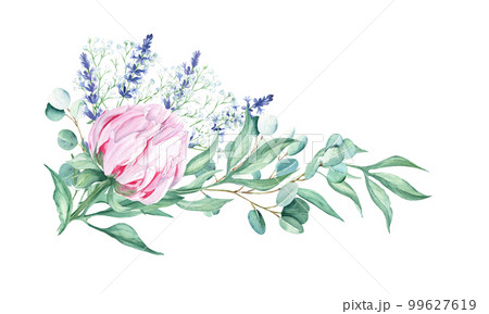 Watercolor pink peony, eucalyptus, gypsophila and lavender garland isolated on white background. Hand drawn botanical illustration. Can be used for wedding, birthday, save the date, greeting cards 99627619