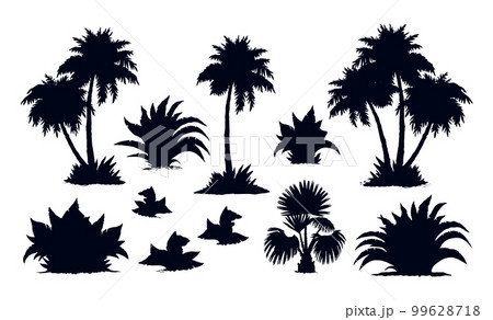 Palm forest. Vector drawing 99628718