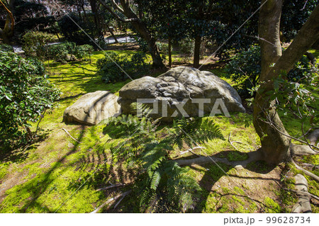 amazing rock and green moss as grass in park of Sento Imperial Palace amazing rock and green moss as grass in park of Sento Imperial Palace 99628734