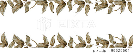 Watercolor frame with dried flowers. Hand painting clipart on an isolated background. Print for wedding invitation, designers, decoration, textile, poster, scrapbooking, card, invitation, tags Watercolor frame with dried flowers. Hand painting clipart on an isolated background. Print for wedding invitation, designers, decoration, textile, poster, scrapbooking, card, invitation, tags 99629604