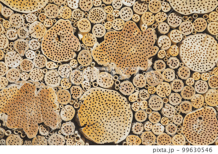 background: round wooden logs with drilled holes background: round wooden logs with drilled holes 99630546