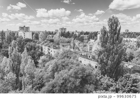 Ghost town Pripyat overgrown by wild self-seeding forest 99630675