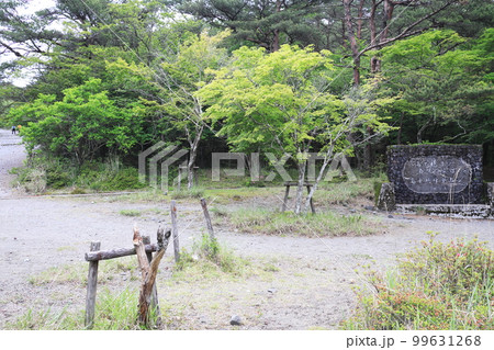 高千穂河原の風景 99631268