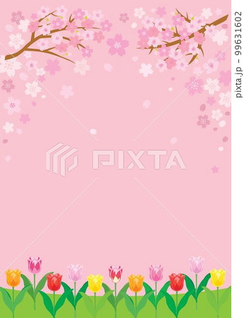 桜とチューリップのピンクの背景イラスト 桜とチューリップのピンクの背景イラスト 99631602