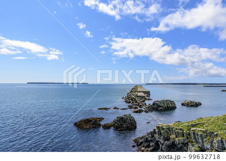 根室花咲岬を歩く 根室花咲岬を歩く 99632718