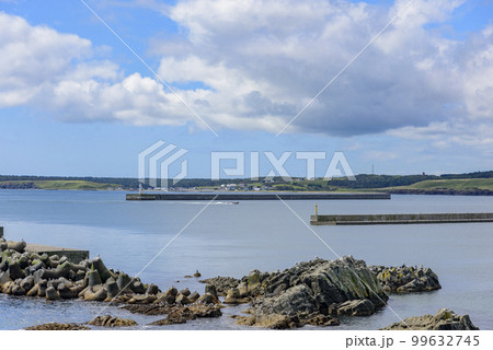 根室花咲岬を歩く 99632745