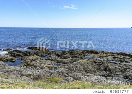 根室花咲岬を歩く 99632777