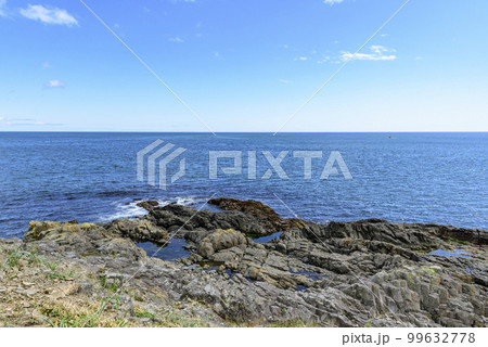 根室花咲岬を歩く 根室花咲岬を歩く 99632778