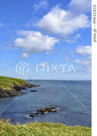 根室花咲岬を歩く 根室花咲岬を歩く 99632810