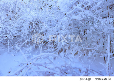 雪山 雪景色 霧氷 99633018