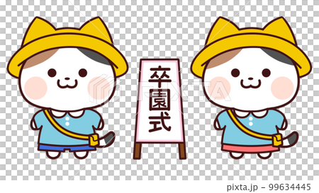 Graduation ceremony signboard and calico cat in light blue kindergarten clothes Graduation ceremony signboard and calico cat in light blue kindergarten clothes 99634445
