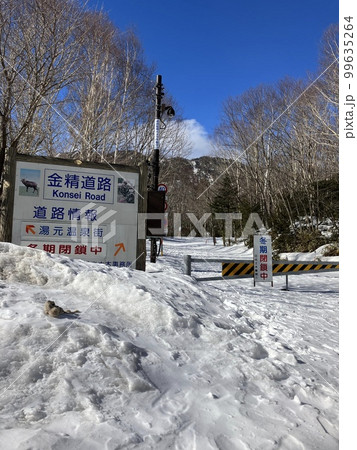 冬季閉鎖中の金精峠_栃木県 99635264