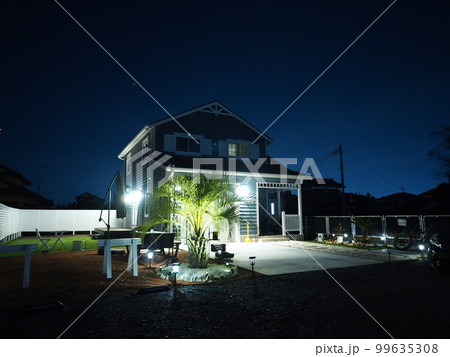 ヤシの木のあるアメリカンガレージハウス　夜景 99635308