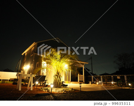 ヤシの木のあるアメリカンガレージハウス　夜景 99635311