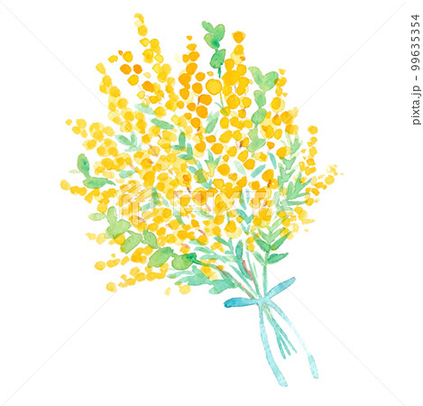 水彩画。水彩タッチの手描きの花束ベクターイラスト。春の花束挿絵。ミモザの花束。 水彩画。水彩タッチの手描きの花束ベクターイラスト。春の花束挿絵。ミモザの花束。 99635354