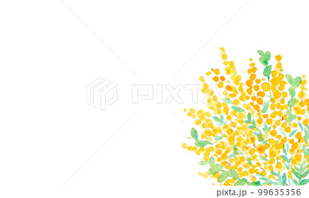 水彩画。水彩タッチの手描きの花束ベクターイラスト。春の花束挿絵。ミモザの花束。 水彩画。水彩タッチの手描きの花束ベクターイラスト。春の花束挿絵。ミモザの花束。 99635356