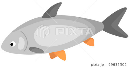 レッドフィンジャイアントバーブ レッドフィンジャイアントバーブ 99635502