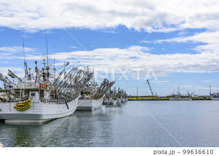 根室花咲港 99636610