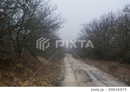 Landscape of Karadag Reserve in spring. View of trees on mountain in fog and clouds. Crimea 99636975