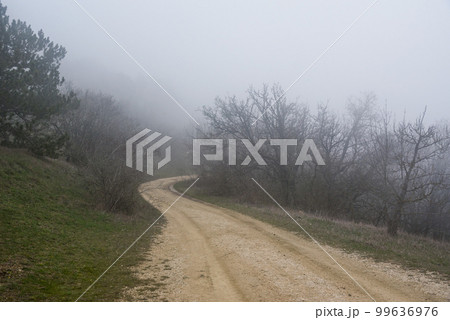 Landscape of Karadag Reserve in spring. View of trees on mountain in fog and clouds. Crimea Landscape of Karadag Reserve in spring. View of trees on mountain in fog and clouds. Crimea 99636976