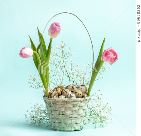 Easter festive basket with quail eggs, pink tulips and white gypsophila on pastel blue background. Easter festive basket with quail eggs, pink tulips and white gypsophila on pastel blue background. 99638262